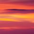 Jordan Drucker-image