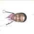 Dr. Oladele O. Olusanya-image