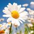 Image link for Nectar MediSpa