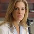 Dr. Beth E. Shubin Stein-image